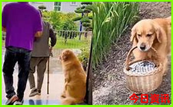 贵阳的民族特色风情